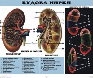 Депресія при термінальній стадії ниркової недостатності