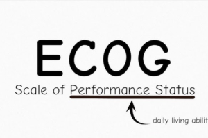 Шкала EcoG